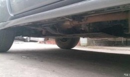 重庆山猫最新爆料,最新爆料背后的真相与内幕