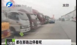 焦作车管所爆料案件最新,重大交通事故案件调查进展披露