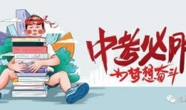 柴油车最新爆料消息大全,性能升级与环保挑战并存