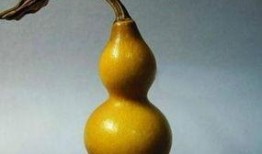 葫芦最新爆料是真的吗