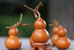 葫芦最新爆料是真的吗