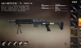 和平精英枪皮肤最新爆料s18,炫酷外观，等你来战！